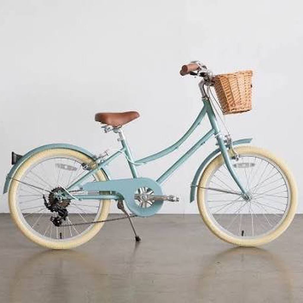 20" Wheel Junior Bikes C471396