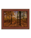 Sun Spackled Wood Framed Photograph Print P843