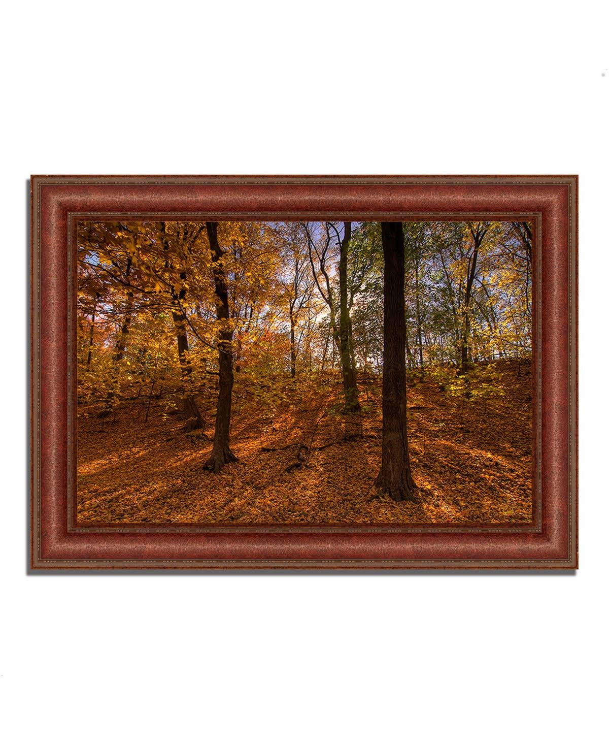 Sun Spackled Wood Framed Photograph Print P843