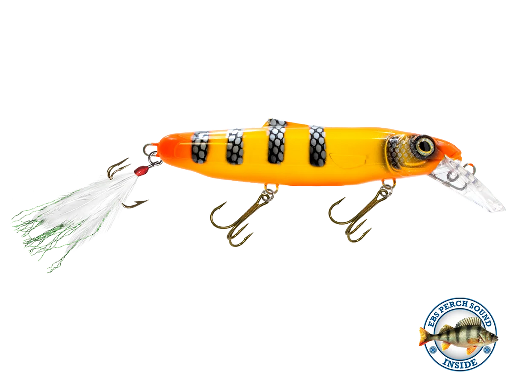 Striker 173 O8866
