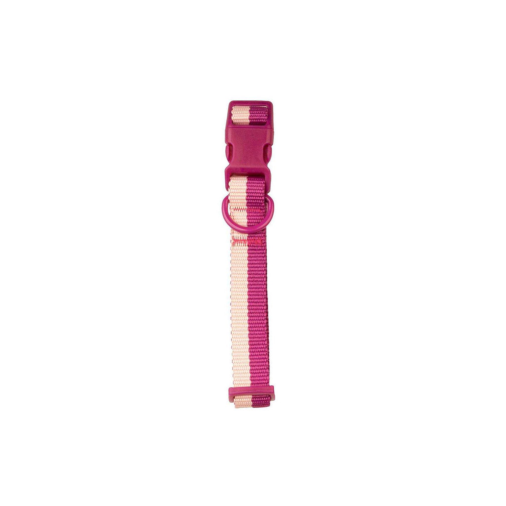 Colorblock Pet Collar Y1973