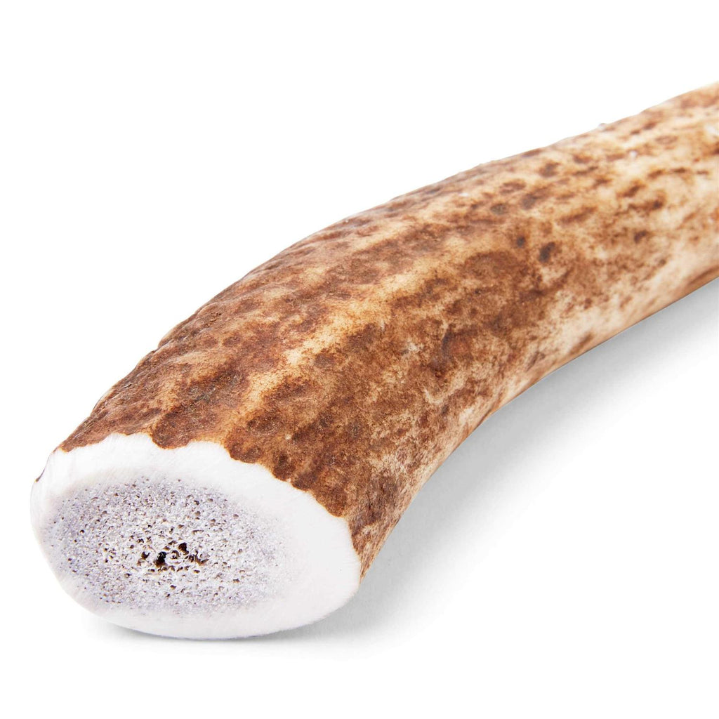 Large Whole Elk Antler Dog Chew M694936