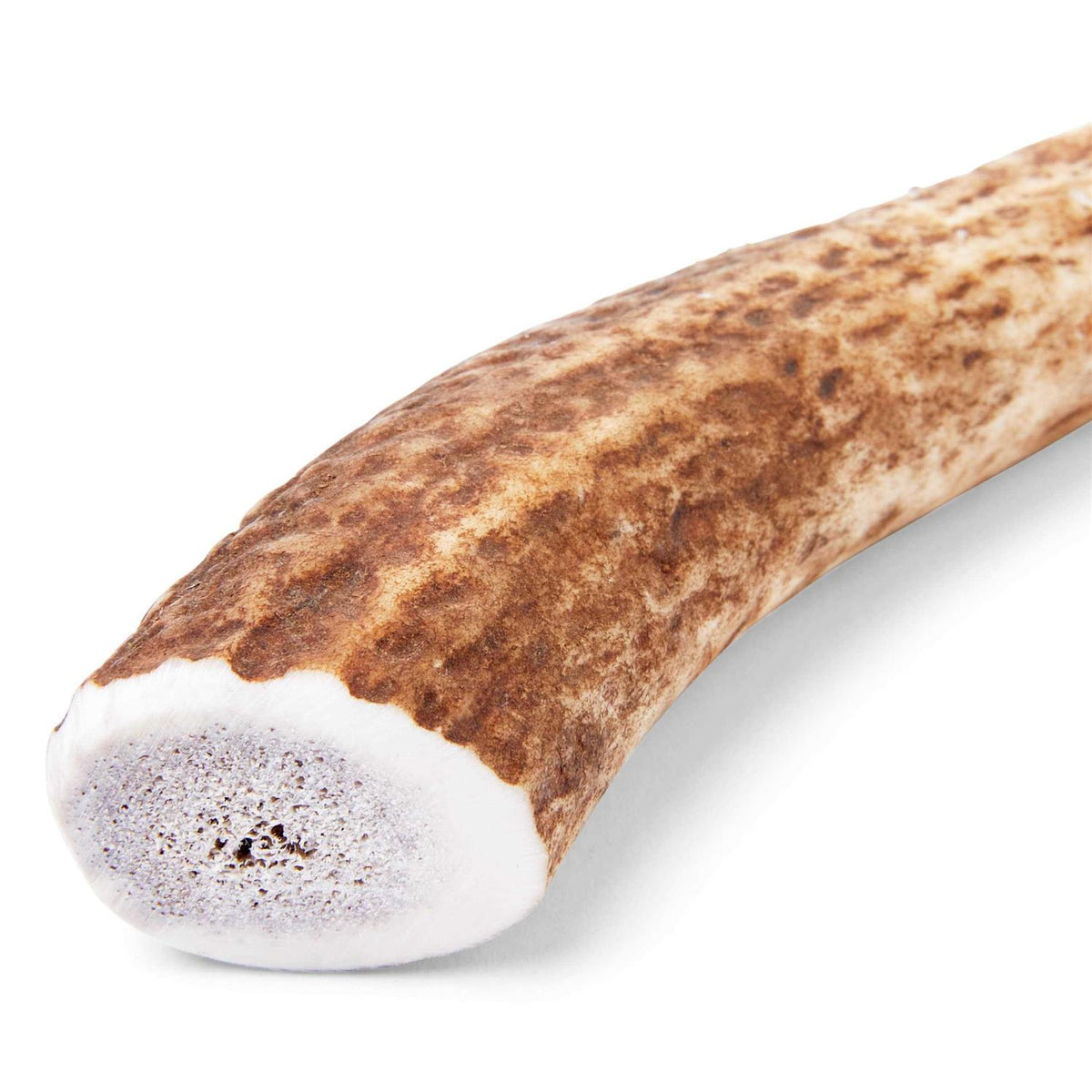 Large Whole Elk Antler Dog Chew M694936