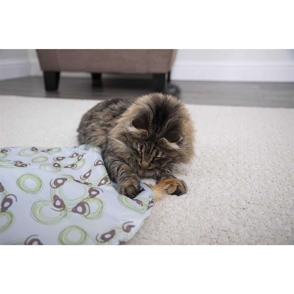Cat Toy Z78903