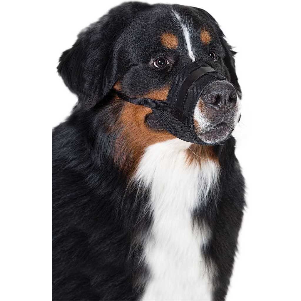 Dog Muzzle A674