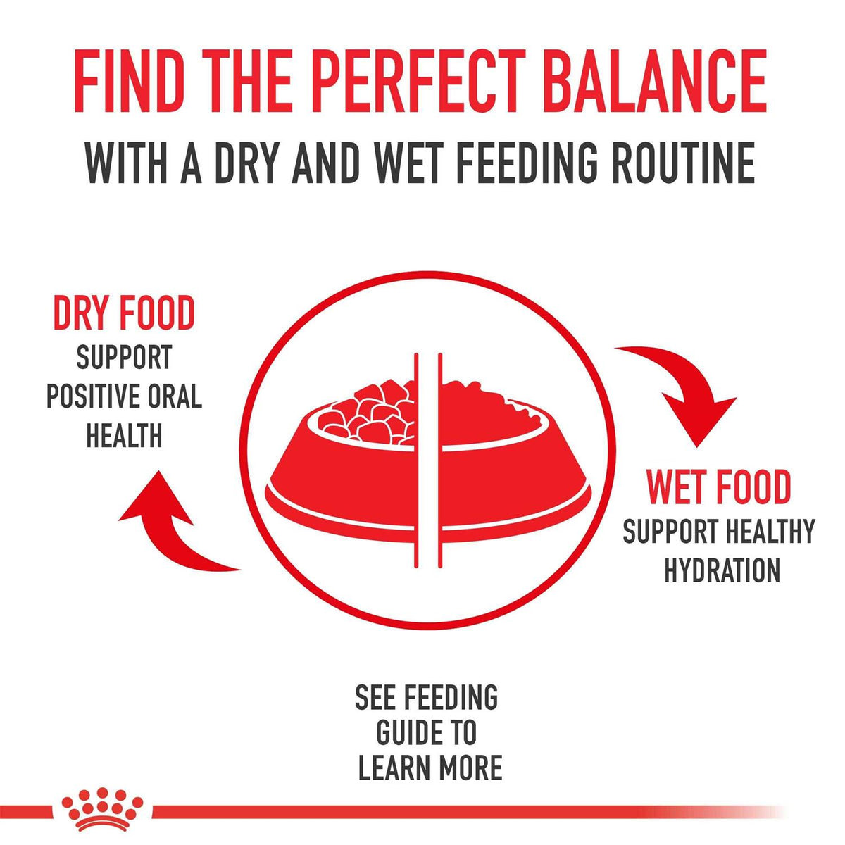 Small Aging Wet Dog Food O26511