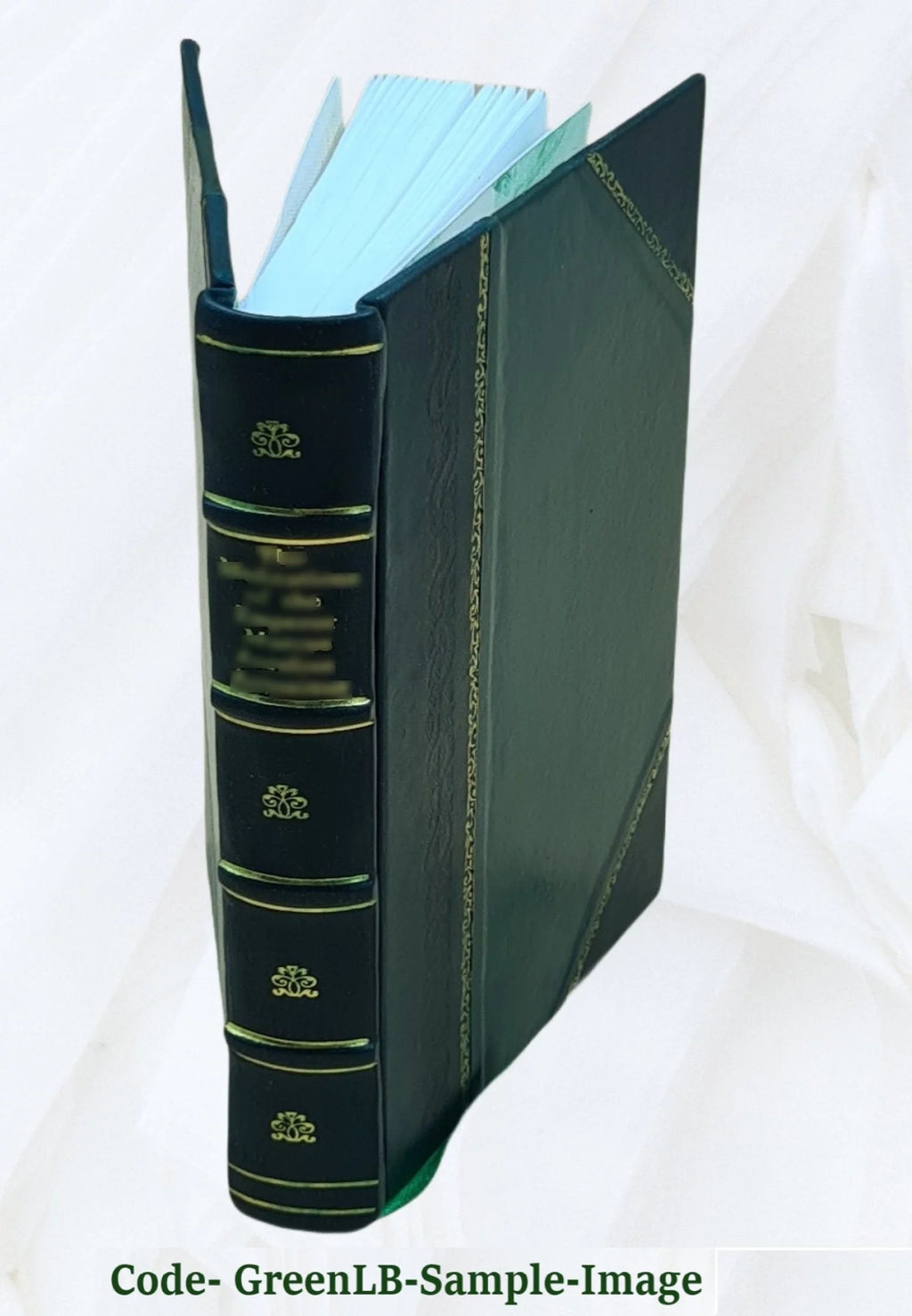 Furniture & Decoration Leather Bound E62143