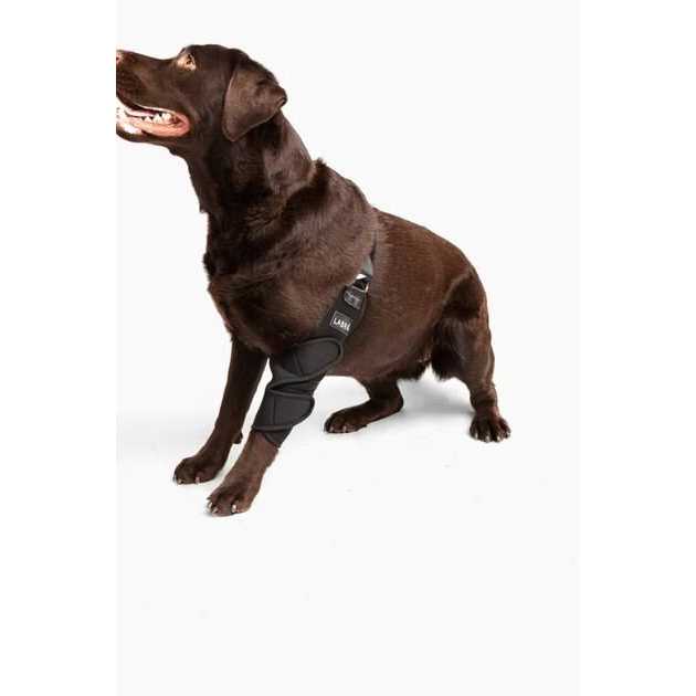 Dog Shoulder Elbow Brace Leg Wrap W1602